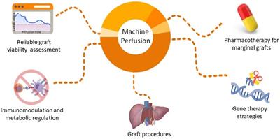 Comprehensive review of the application of MP and the potential for graft modification